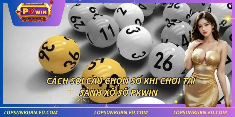 Cách soi cầu chọn số khi chơi tại sảnh xổ số PKWIN