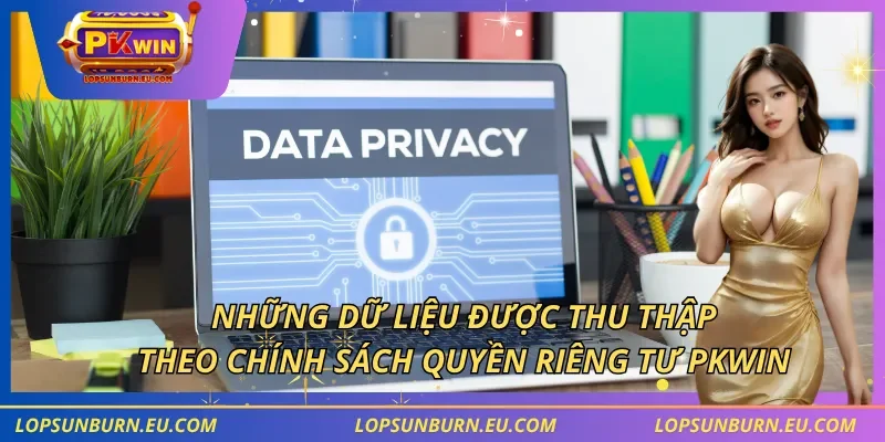 Những dữ liệu được thu thập theo chính sách quyền riêng tư PKWIN