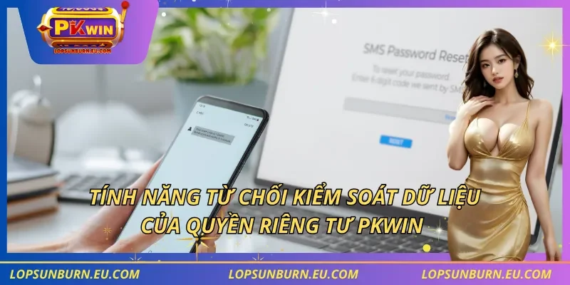 Tính năng từ chối kiểm soát dữ liệu của quyền riêng tư PKWIN